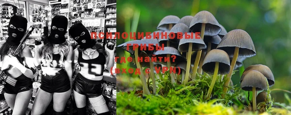 героин Горняк
