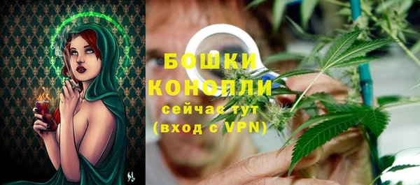 spice Горнозаводск