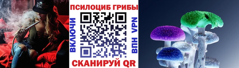 shop Telegram  omg ссылки  Находка  Галлюциногенные грибы мицелий 